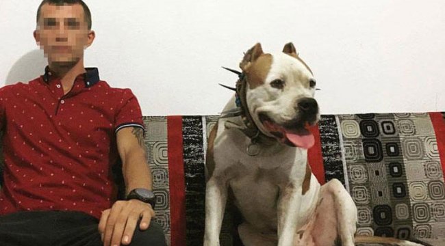 Köpek çiftliğine ceset gömerken yakalanmıştı! Başsavcılıktan açıklama…