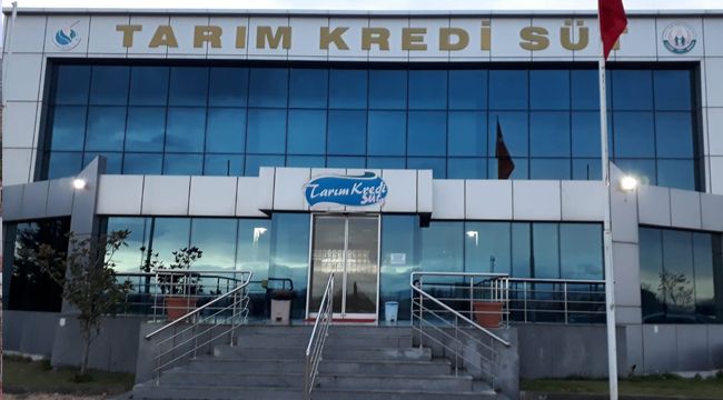 KOYUN VE KEÇİ SÜTÜNE REKOR FİYAT