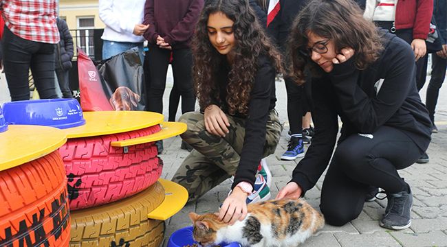 ÖĞRENCİLERİN HAYVAN SEVGİSİ