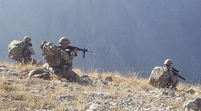 Şırnak ve Hakkari'de Kıran operasyonları