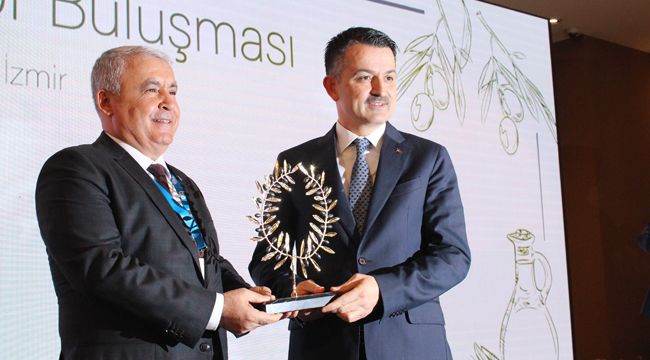 Zeytin üreticilerine müjde