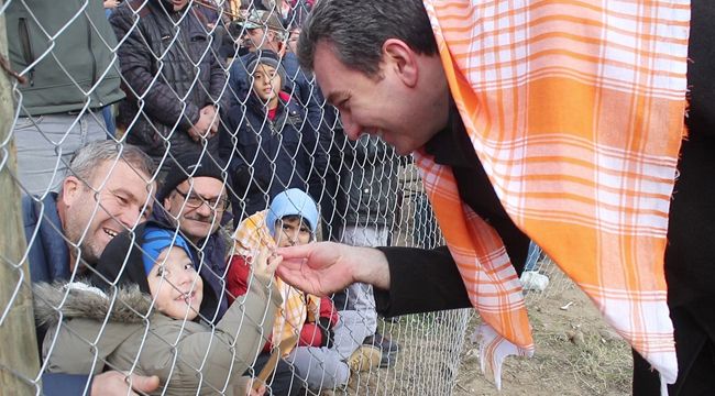 BERGAMA DEVE GÜREŞİ FESTİVALİNE BÜYÜK İLGİ
