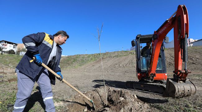 BUCA'NIN KALBİNE BİN AĞAÇLIK DEV ORMAN