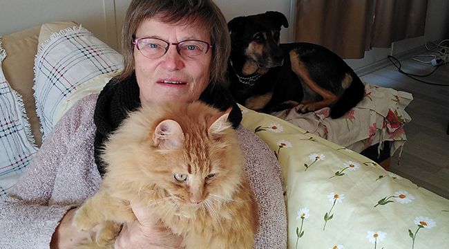 İZMİR'DE 12 YAVRU KÖPEK ÖLDÜ