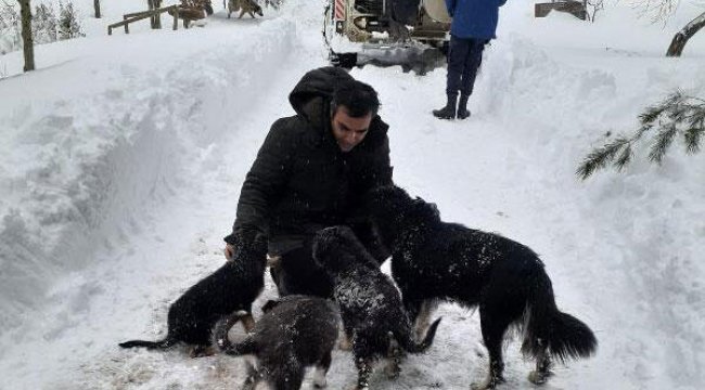 Kazdağı Milli Parkı'nda kar yüzünden mahsur kalan 2 kişi kurtarıldı