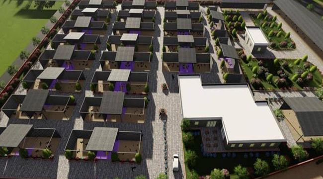 SOKAK HAYVANLARI SORUNU ÇÖZÜLÜYOR