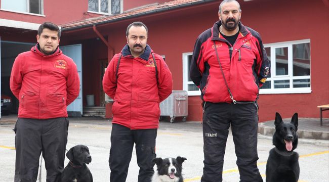Sokakta bulunup eğitilen köpekler hayat kurtardı
