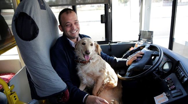 Üşüdüğü için otobüse binen köpeği 1,5 saat gezdirdi