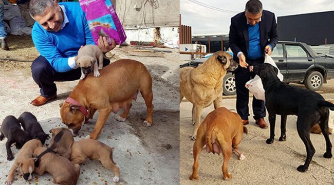 Van Cumhuriyet Savcısı Kaya, yeni yıla girerken can dostlarını unutmadı