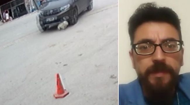 'Yoldaki köpeği kasıtlı olarak ezdi' iddiası