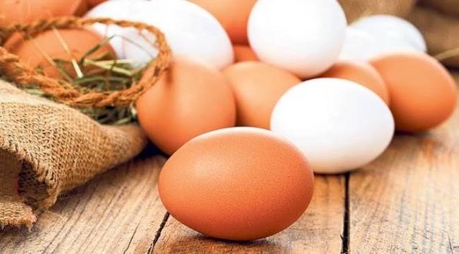 Yumurta kalbe zararlı değil