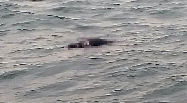 Balıkçılar gördü, polise haber verdi