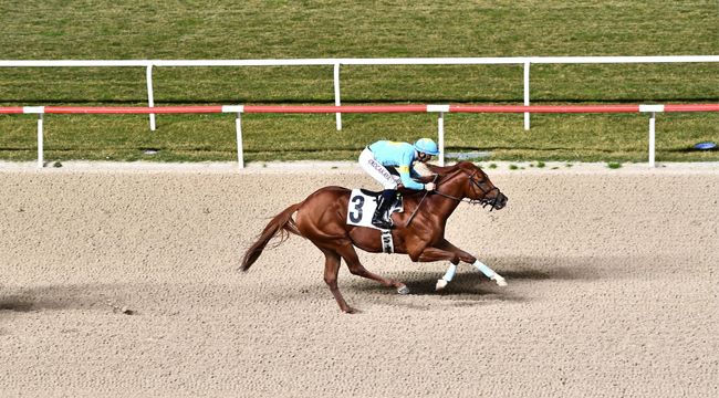 BAŞKANLIK KUPASI'NI LOZAN KAZANDI