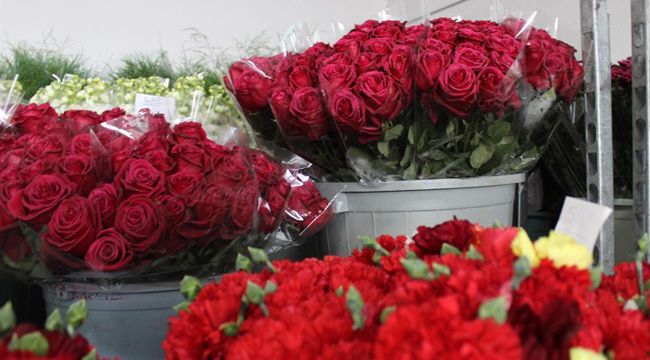 BİR DAL GÜL 10 LİRA