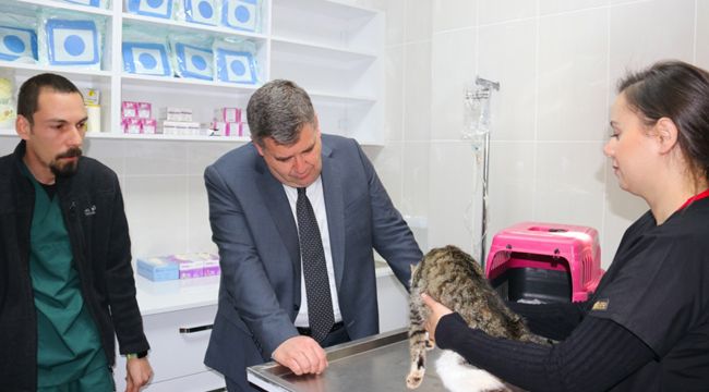 'CAN DOSTLAR YALNIZ DEĞİL'