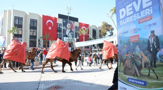 DEVE GÜREŞİ FESTİVALİ BAŞLIYOR