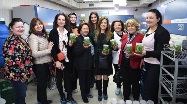 İzmirli kadın girişimciler Ödemiş'i gezdiler