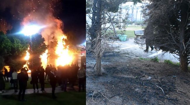 Konak Meydanı’ndaki ağaçlar ateşe verildi