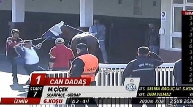 SAFKAN ATA ŞİDDETE CEZA