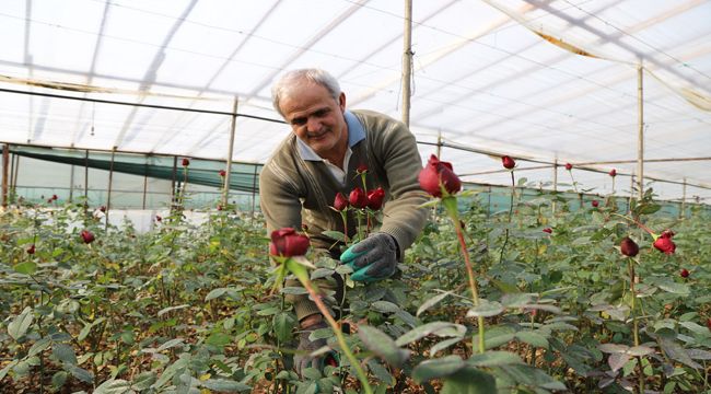SEVGİLİLERE GÜL MENDERES'TEN