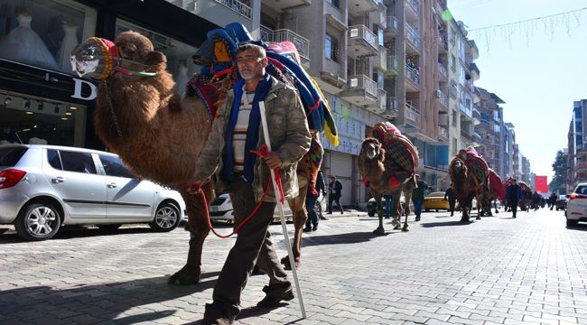 TORBALI'DA DEVELER BOY GÖSTERDİ