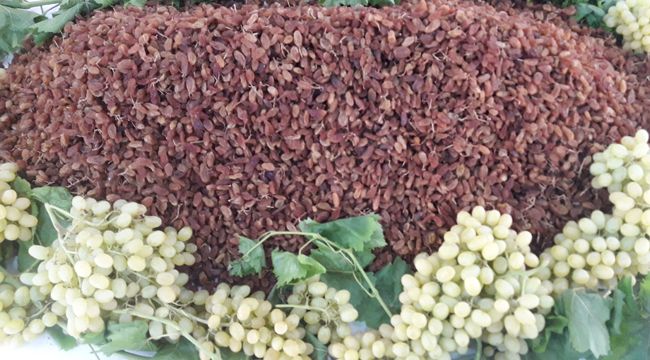 TÜRK ÜZÜMÜNÜ ZİRVEYE TAŞIDI