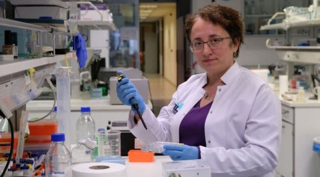 6 ay 1 yıl içinde aşı, 4-5 ay içinde de tedavi için yerli ilaç geliştirilebilecek
