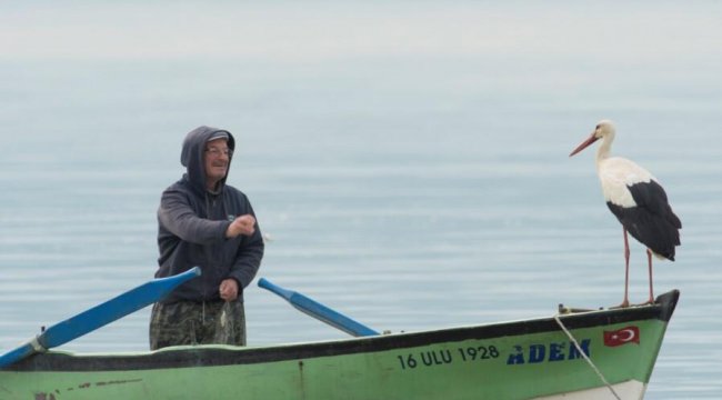 Adem Amca ile 'Yaren' leylek 9 yıl sonra yeniden buluştu