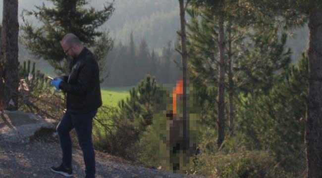 Ağaca asılı halde bulundu