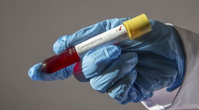 Bilim insanları: Corona virüs aşısı uzun yıllar koruyabilir
