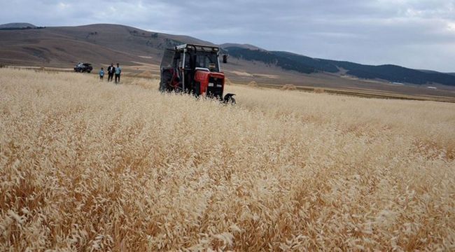 Bitkisel üretim desteklerinin son başvuru tarihleri uzatıldı
