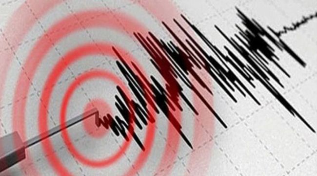 Bodrum'da korkutan deprem