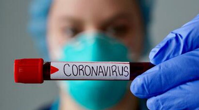 CORONAVİRÜS DOSYASI