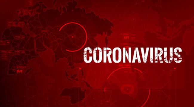 DÜNYANIN KORONA VİRÜS KARNESİ