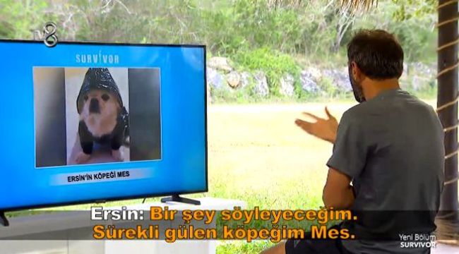 Ersin Korkut'un köpeği hayatını kaybetti