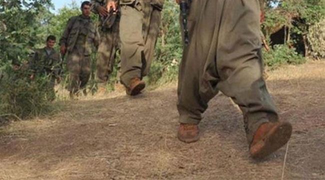 İçişleri Bakanlığı: Bu yıl 55 terörist ikna yoluyla teslim oldu