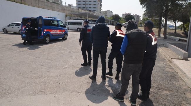 İzmir'de Jandarma hayvan hırsızlarını yakaldı