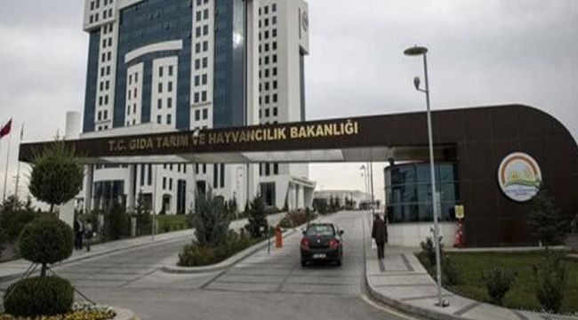 Tarım ve Orman Bakanlığı: Ülkeye pet hayvanı girişi durduruldu