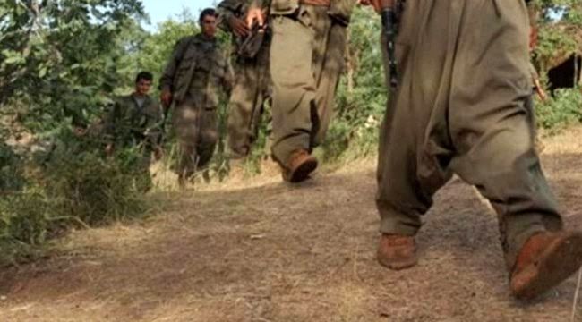 Teslim olan terörist sayısı 67'ye yükseldi