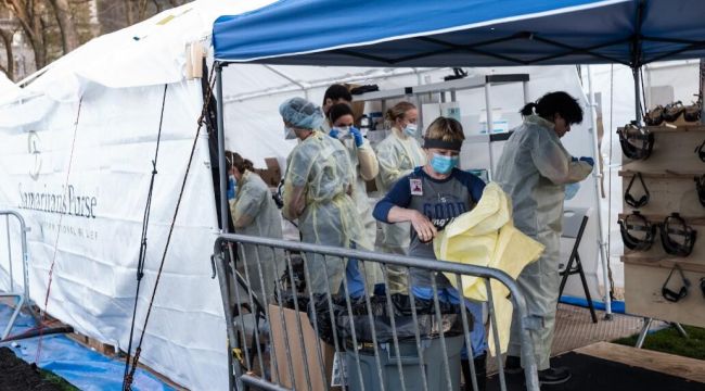 10'da 1'i hayatta kalamıyor