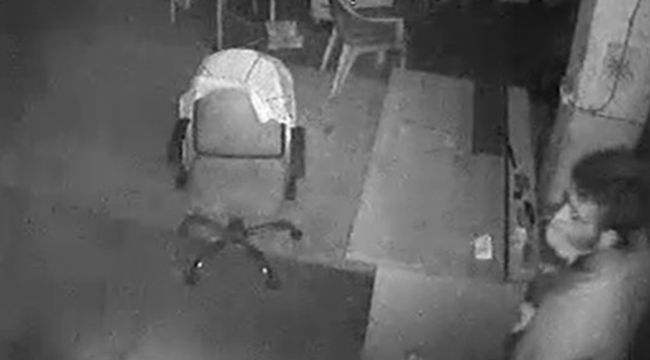 150 bin TL değerinde ürün çaldı, karşısına çıkan kediden böyle korktu