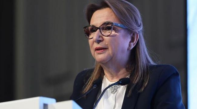Bakan Pekcan: Bu süreci el birliği ile atlatacağız