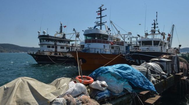 Balık popülasyonunda artış umutları