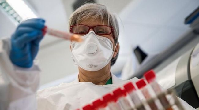 Bilim insanları corona virüsün zayıf noktasını buldu