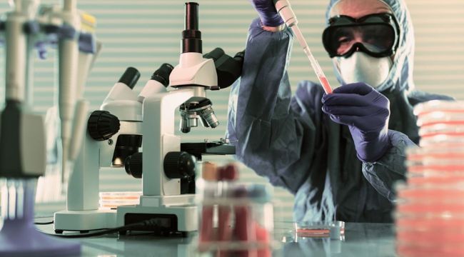 Corona virüs mutasyona uğrayarak 30 türe ayrıldı