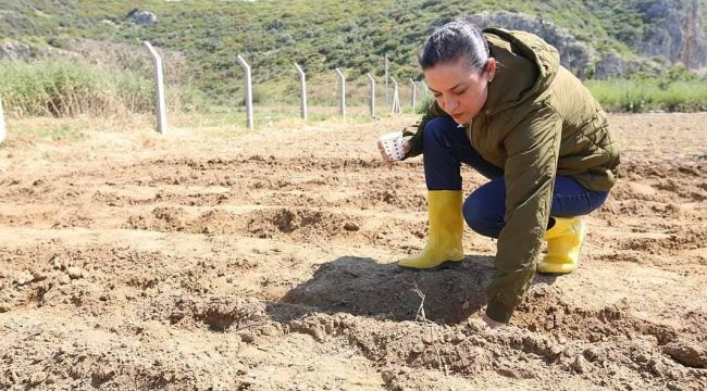 EFSANE EFES SELÇUK’A GERİ DÖNÜYOR