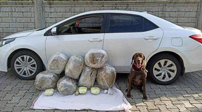 Elazığ'da uyuşturucu operasyonu