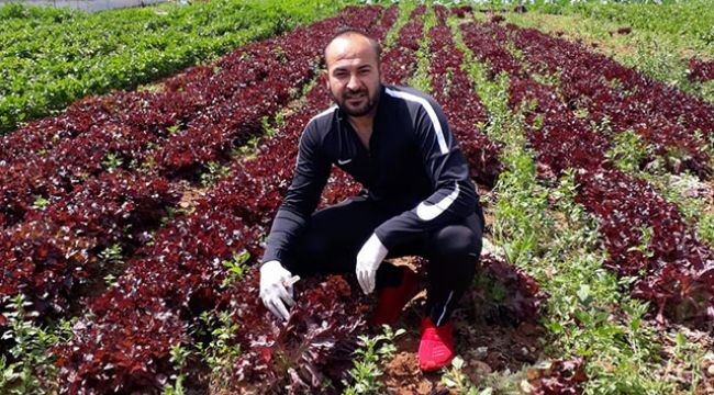 KKTC’de çiftçiden halka bedava sebze jesti