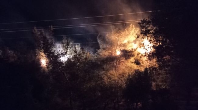 KOPAN ELEKTRİK TELLERİ YANGINA NEDEN OLDU