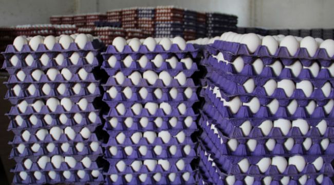 Koronavirüs yumurta tüketimini artırdı